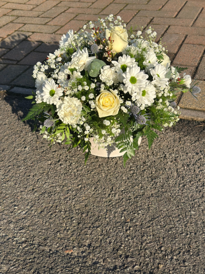 Ivory Peace - A serene and elegant funeral arrangement presented in a soft, neutral palette, designed to offer comfort and quiet reflection. Blending gentle ivory tones with fresh greenery and delicate textures, this tribute creates a calming and graceful presence. Its natural, rounded design symbolises purity, peace, and remembrance, making it a heartfelt way to honour a life with dignity and love.